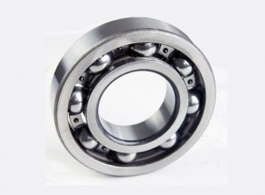 DSC09003 open bearing