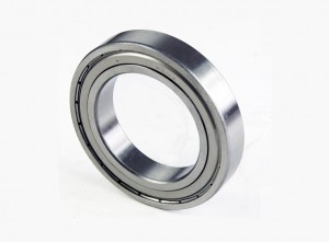 DSC09004 shielded bearing