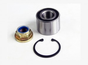 Wheel Bearing Kit DSC09068